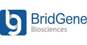 BridGene Biosciences