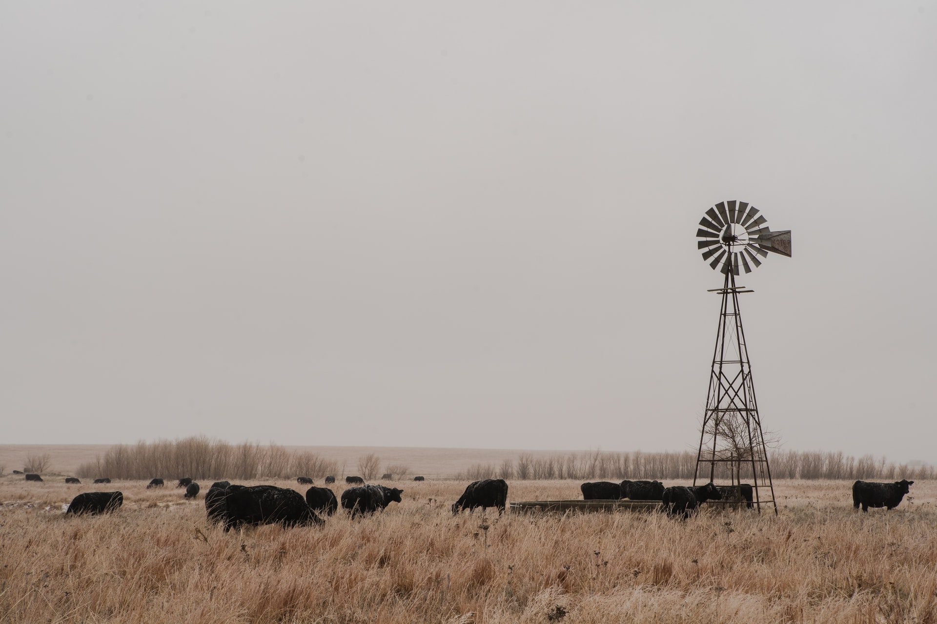 Kansas QSBS