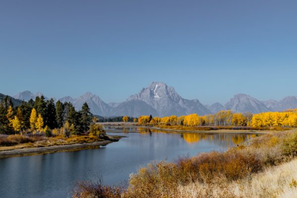 Wyoming QSBS